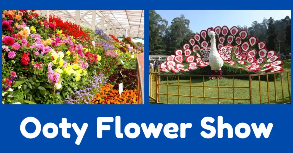 Ooty Flower Show 2026 Ticket Price